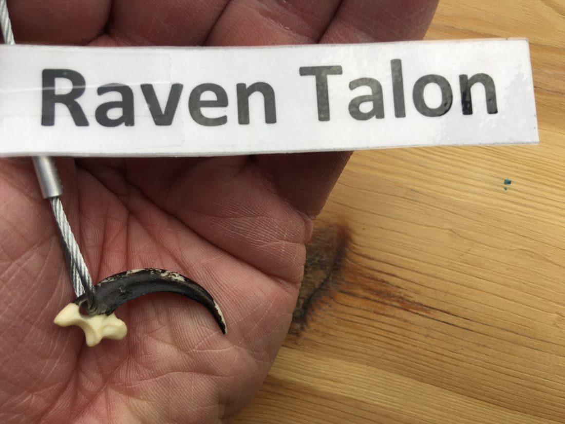 Raven Talon Size