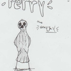 Perry the Grey Jay by Zoe